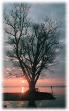 Sonnenaufgang am Chiemsee